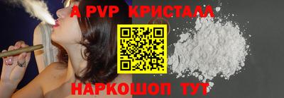 СК Новозыбков