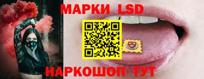 СК Новозыбков
