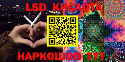 СК Новозыбков