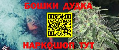 СК Новозыбков