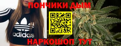 СК Новозыбков