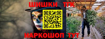 СК Новозыбков