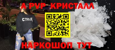СК Новозыбков