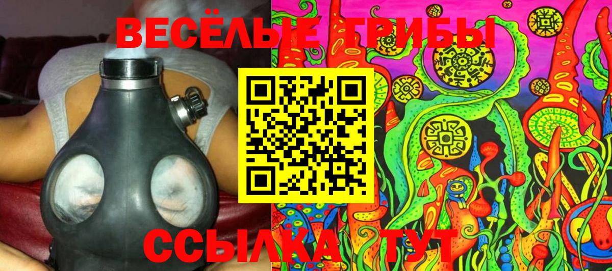 Псилоцибиновые грибы GOLDEN TEACHER Тулун