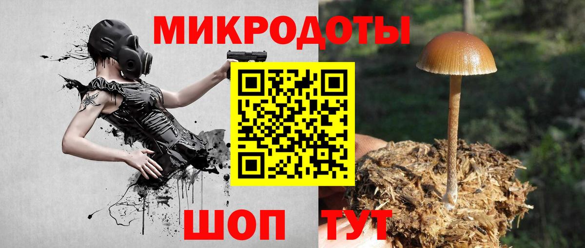 Тулун  Псилоцибиновые грибы Psilocybine cubensis  Вход с VPN 